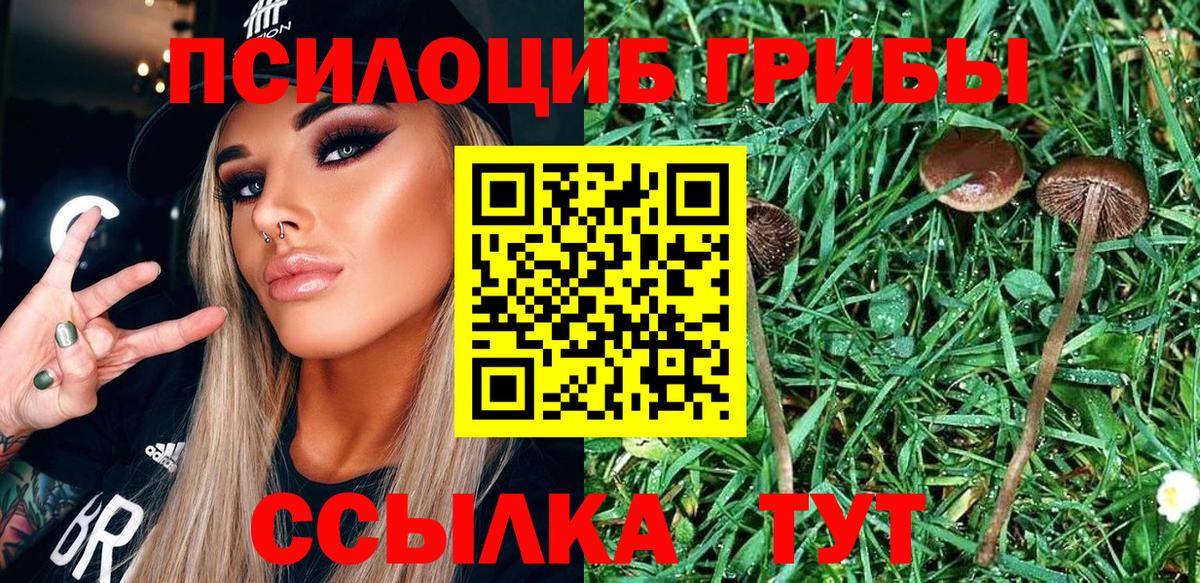 что такое наркотик  Вход с VPN  Кольчугино  Галлюциногенные грибы мицелий  Псилоцибиновые грибы мицелий 