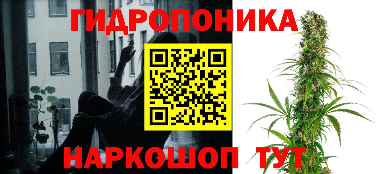 Бошки Шишки планчик  Вход с VPN  Каннабис планчик  Кольчугино  Бошки Шишки SATIVA & INDICA 
